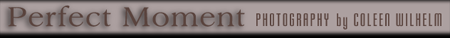 wp265f591a.png